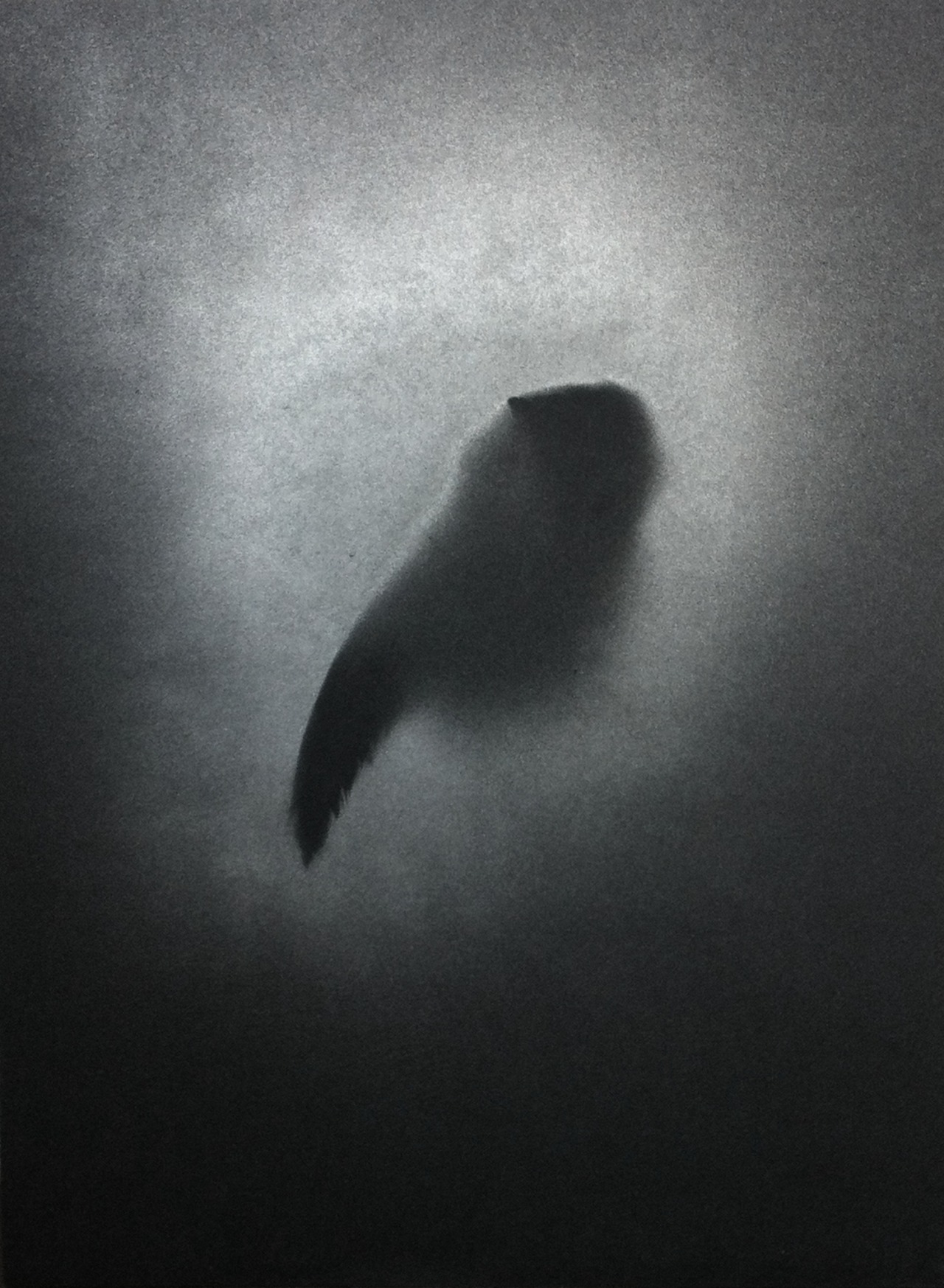 Archillect ID 288893