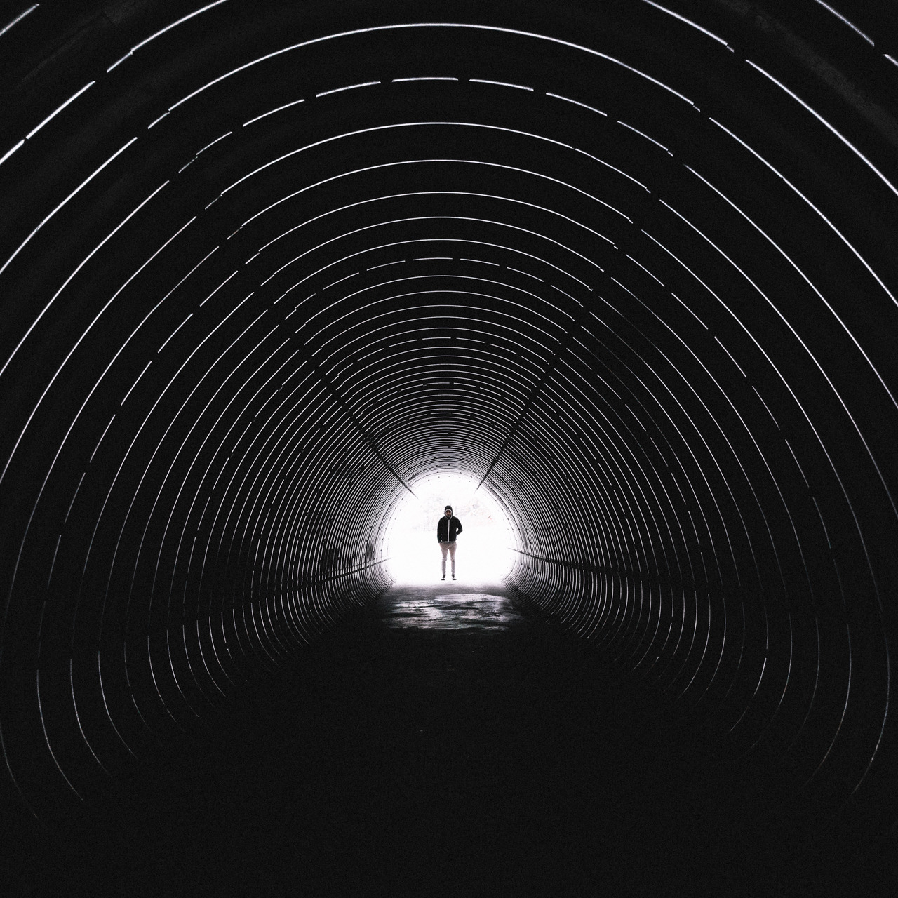 Archillect ID 288959