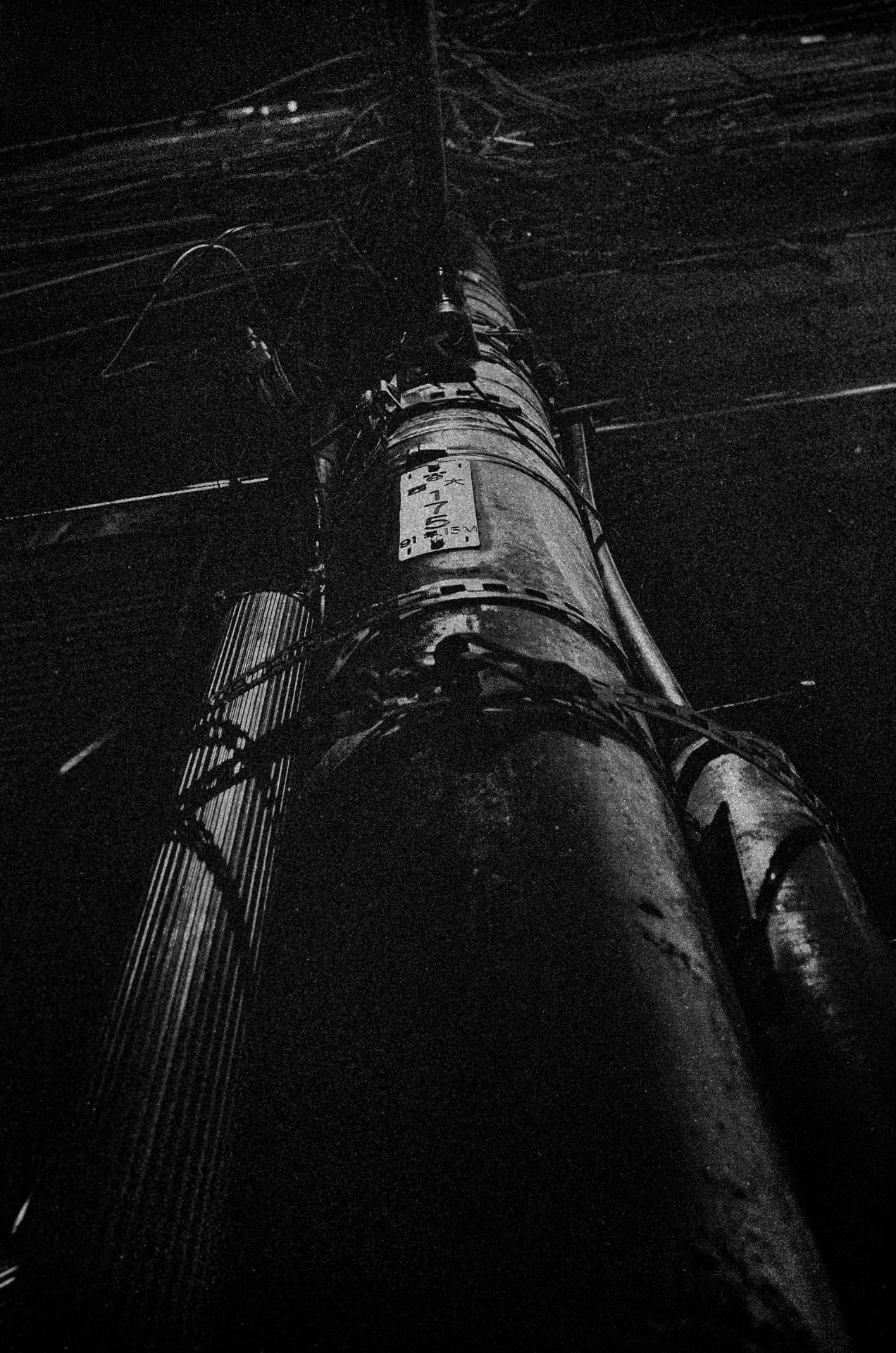 Archillect ID 289175