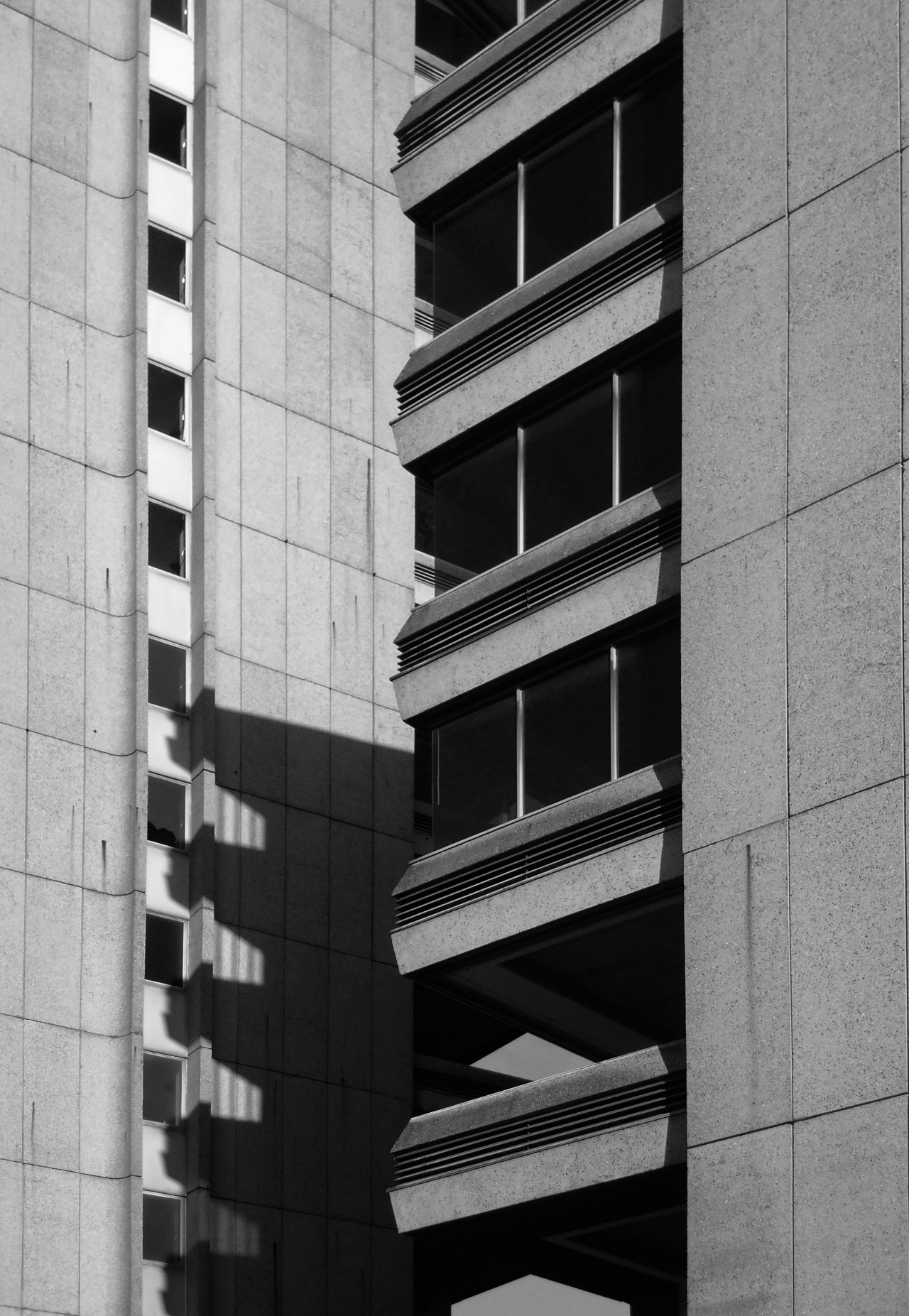 Archillect ID 289231