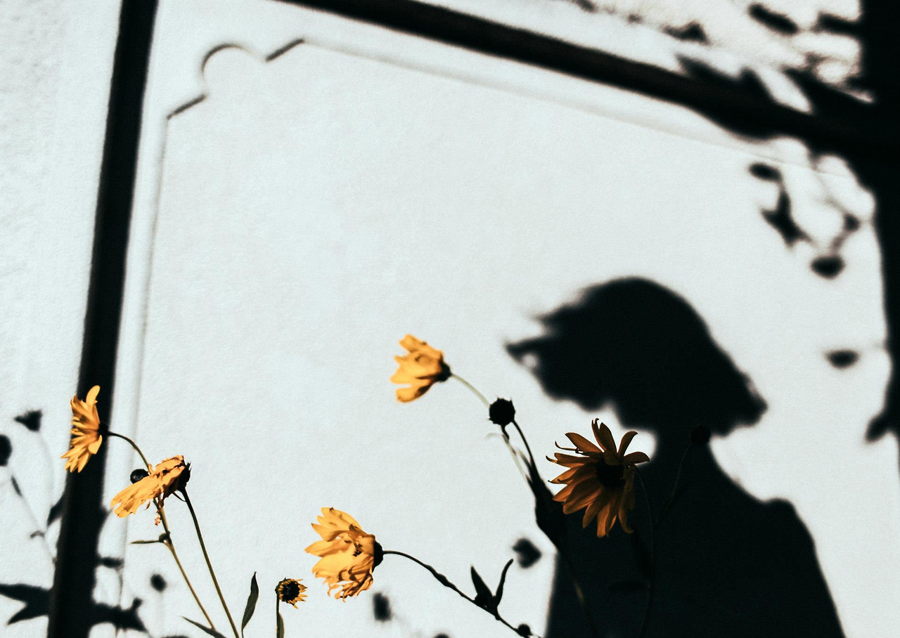 Archillect ID 289661