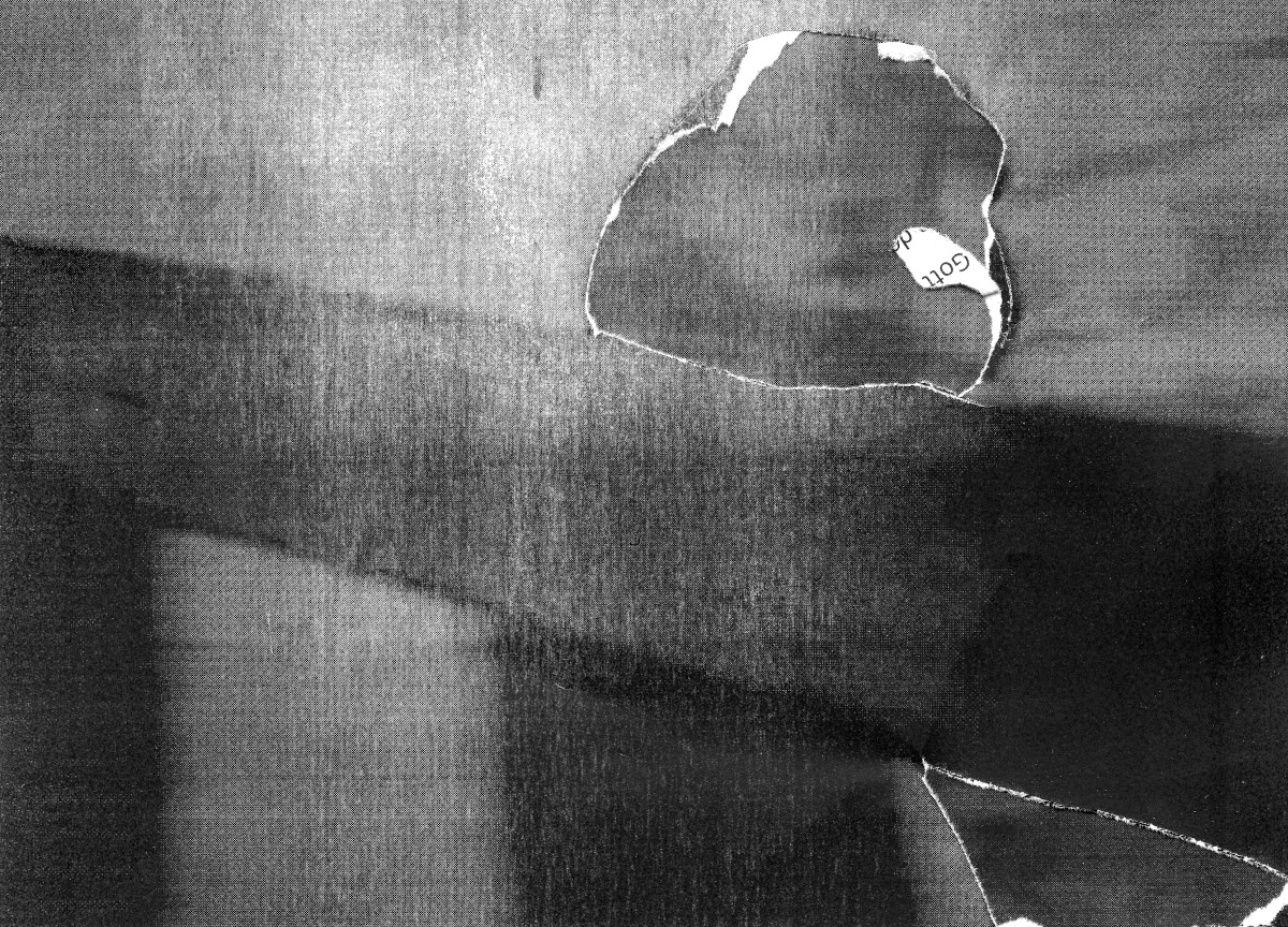 Archillect ID 289933