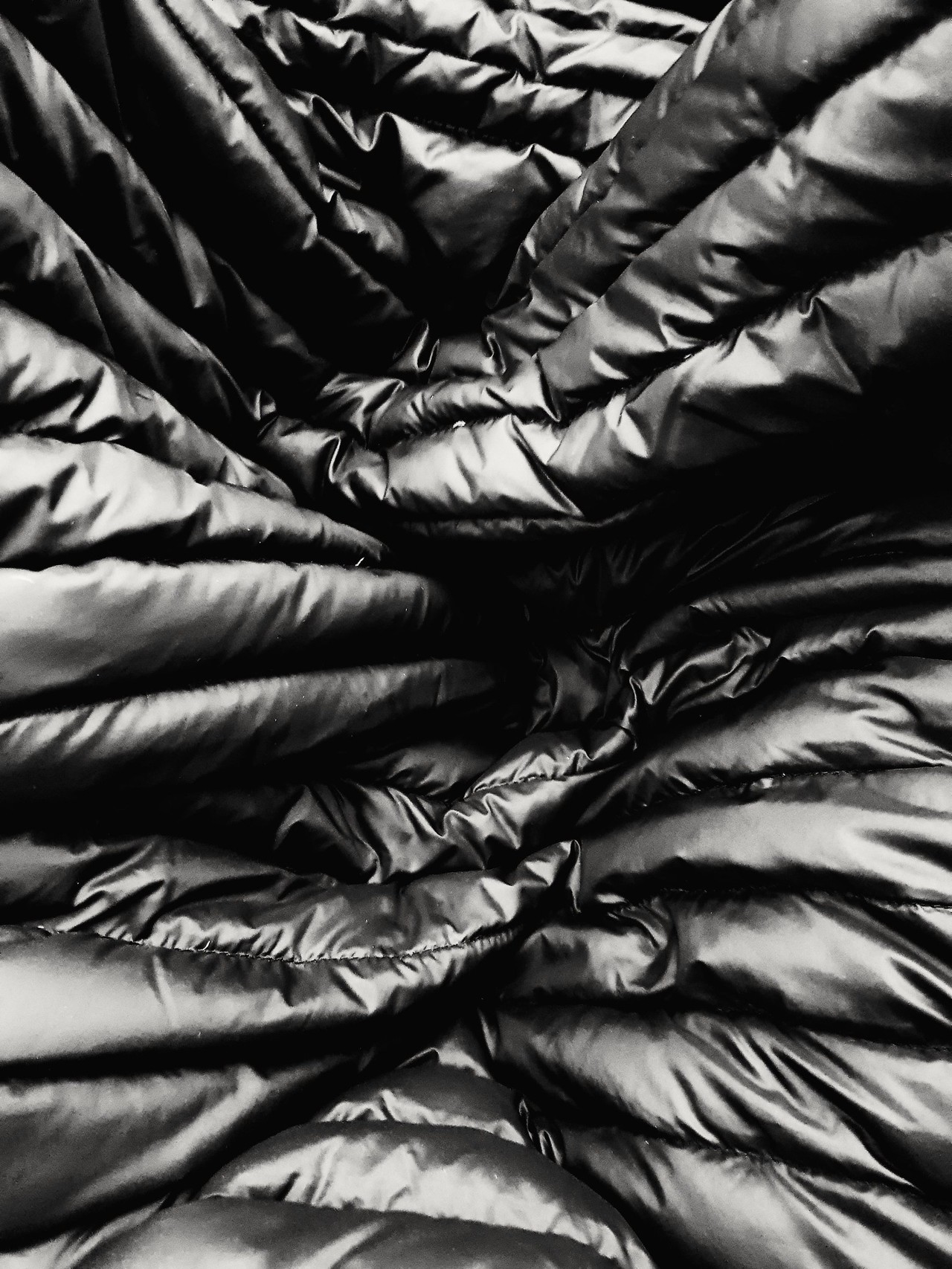 Archillect ID 290343