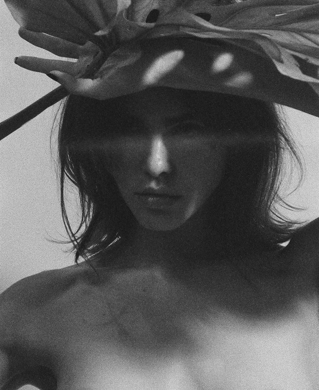 Archillect ID 290411