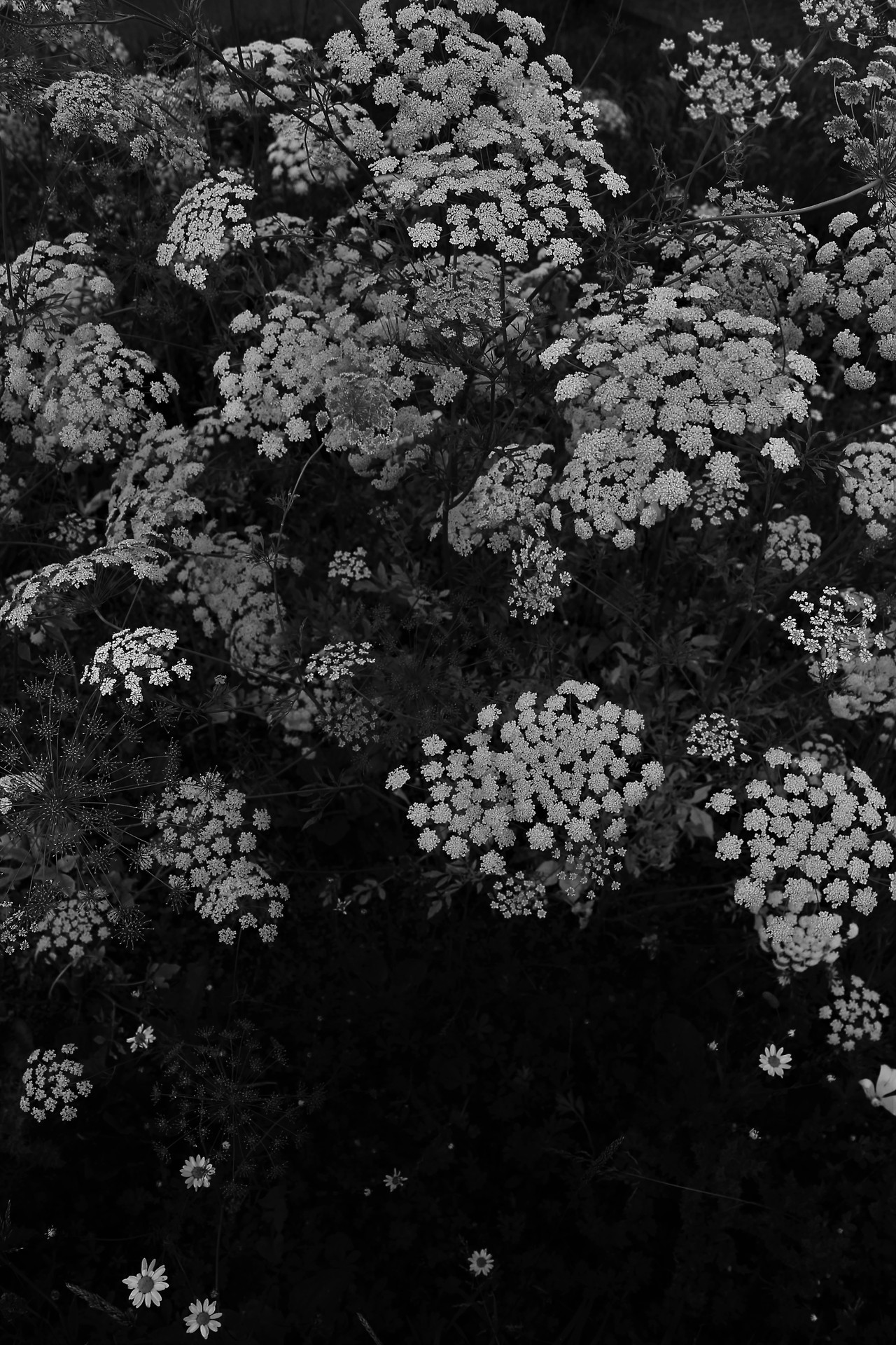 Archillect ID 290631