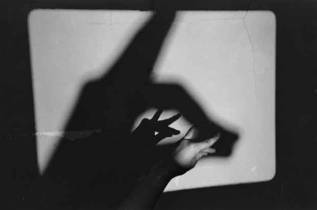 Archillect ID 290992