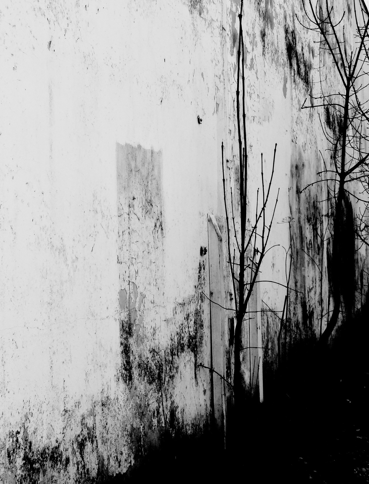 Archillect ID 291310