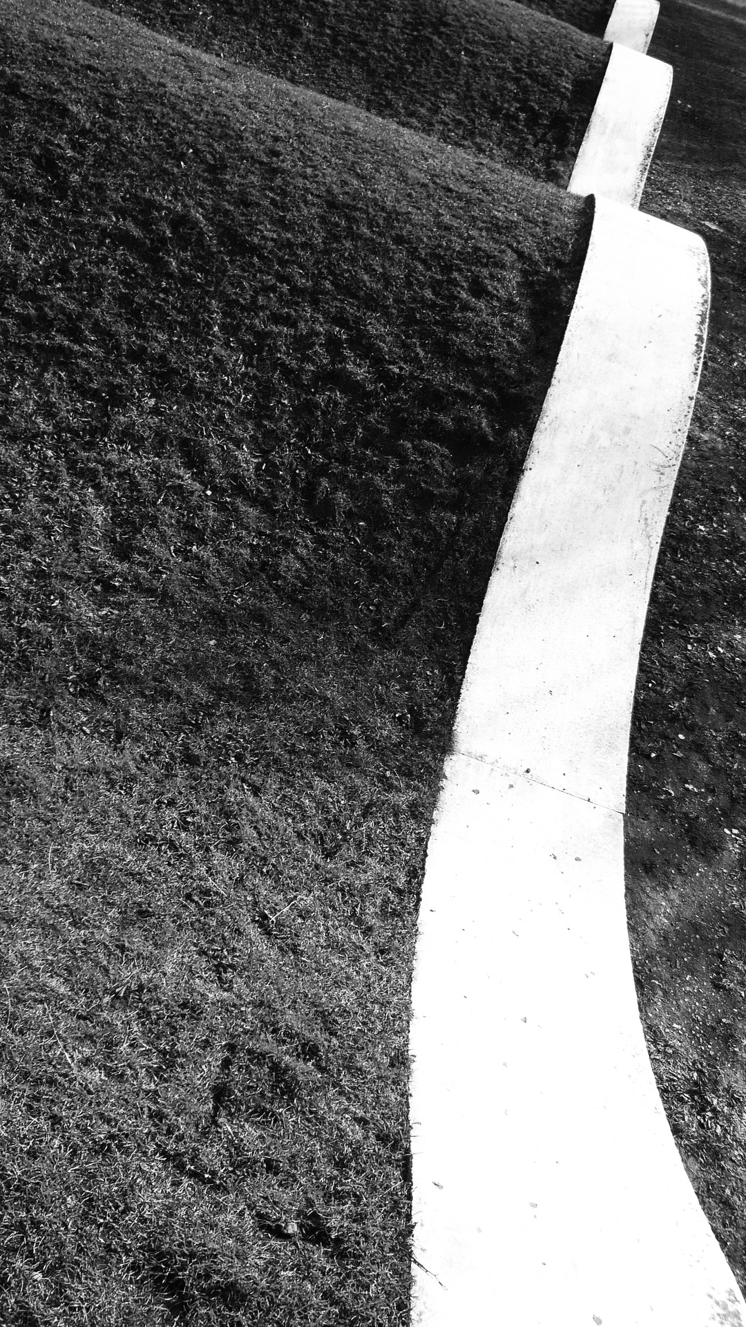 Archillect ID 291520
