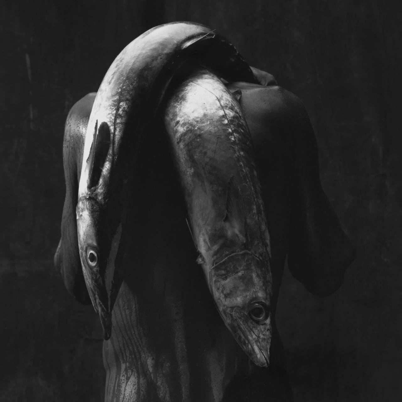 Archillect ID 291771