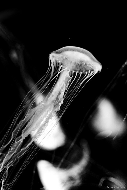 Archillect ID 292199