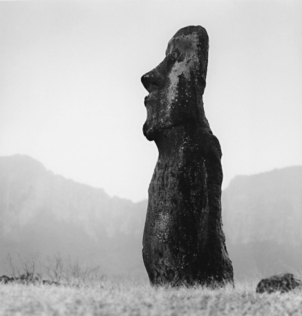 Archillect ID 292237