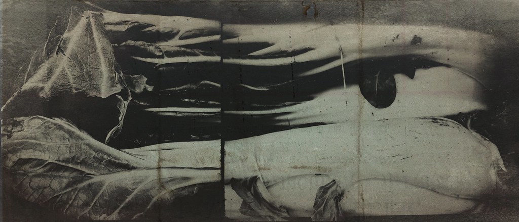 Archillect ID 292355