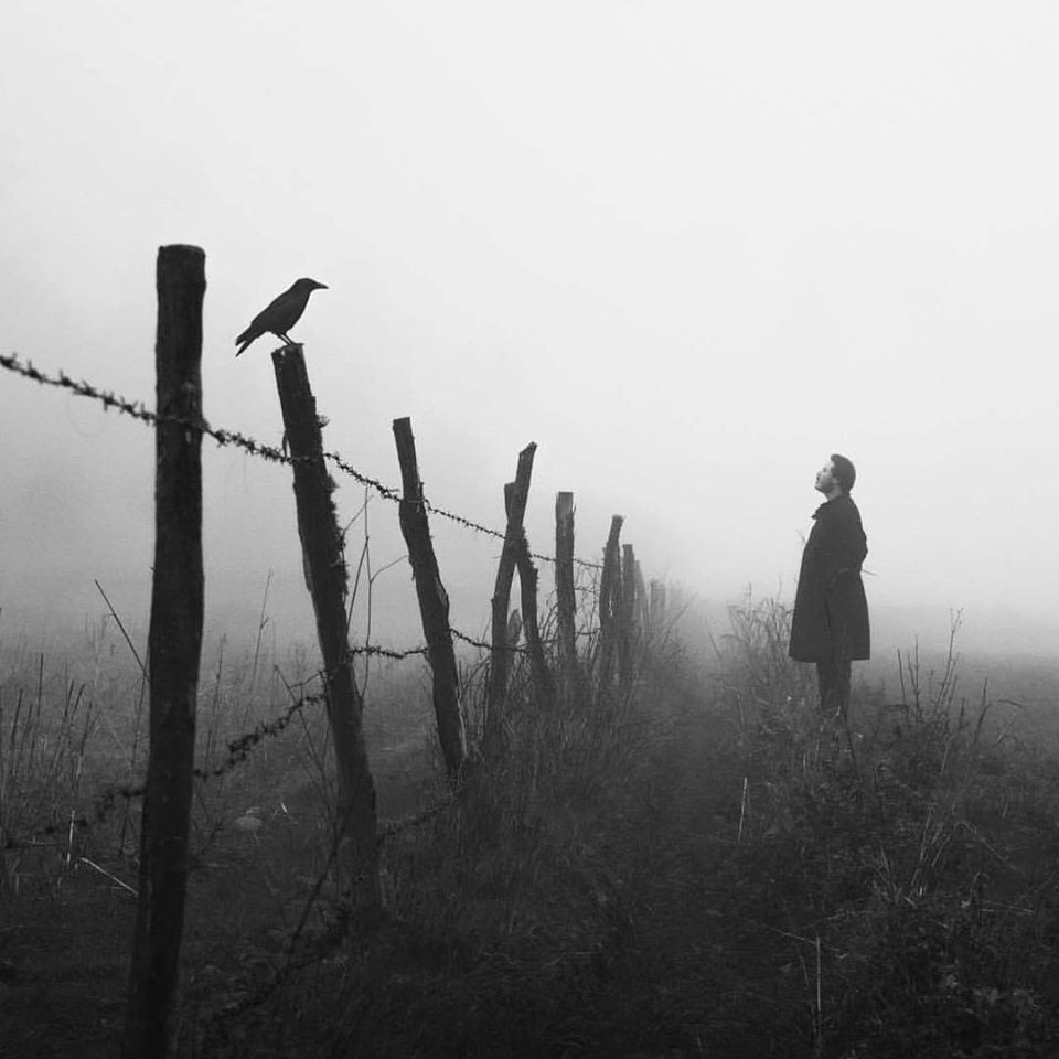 Archillect ID 292530