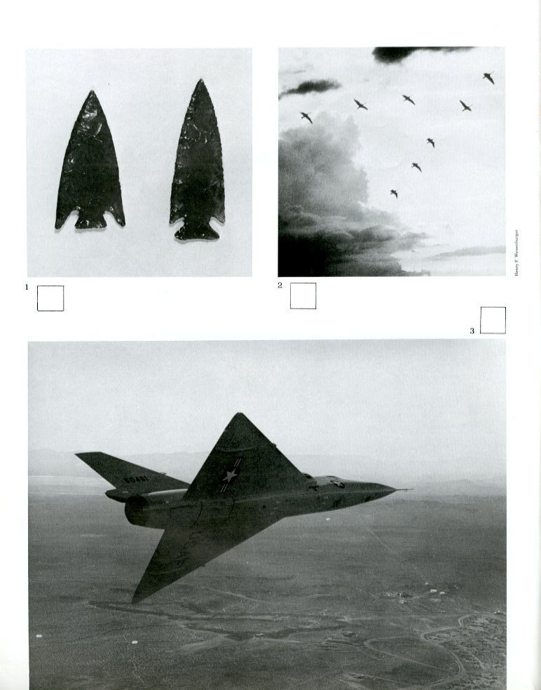 Archillect ID 292724