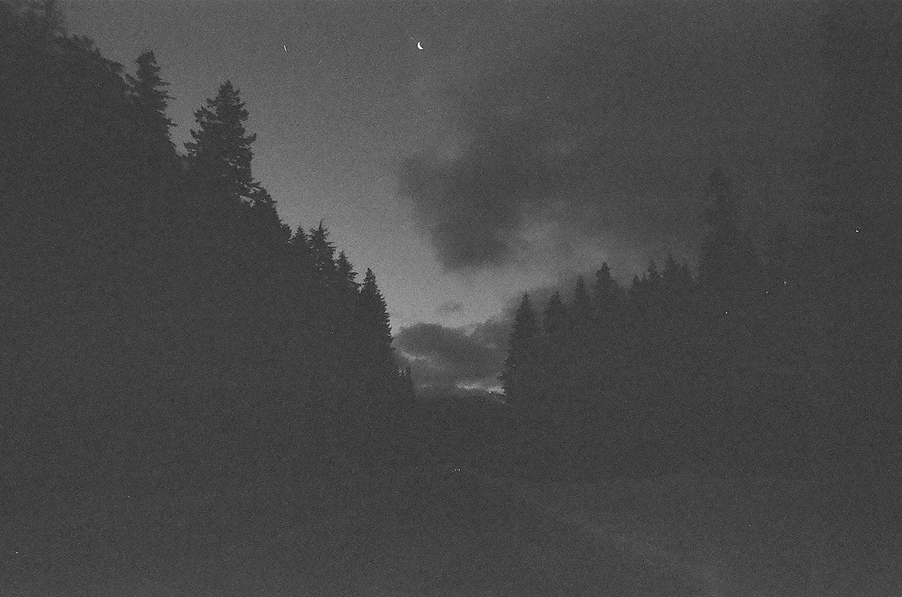 Archillect ID 292835