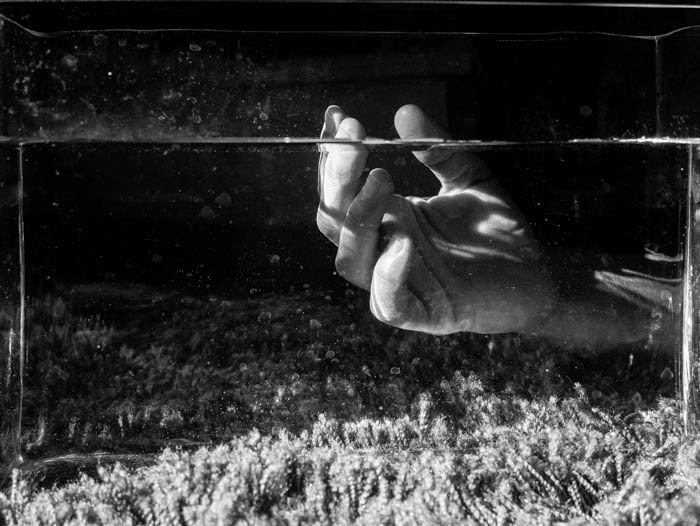 Archillect ID 292890