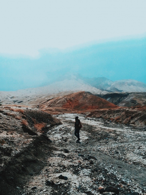 Archillect ID 293150