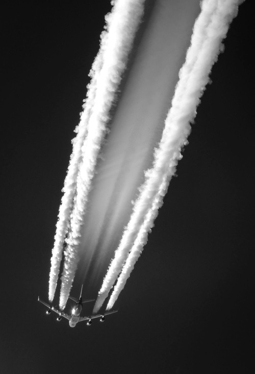 Archillect ID 293336