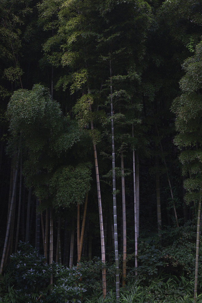 Archillect ID 293635