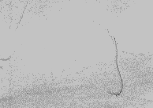 Archillect ID 294143