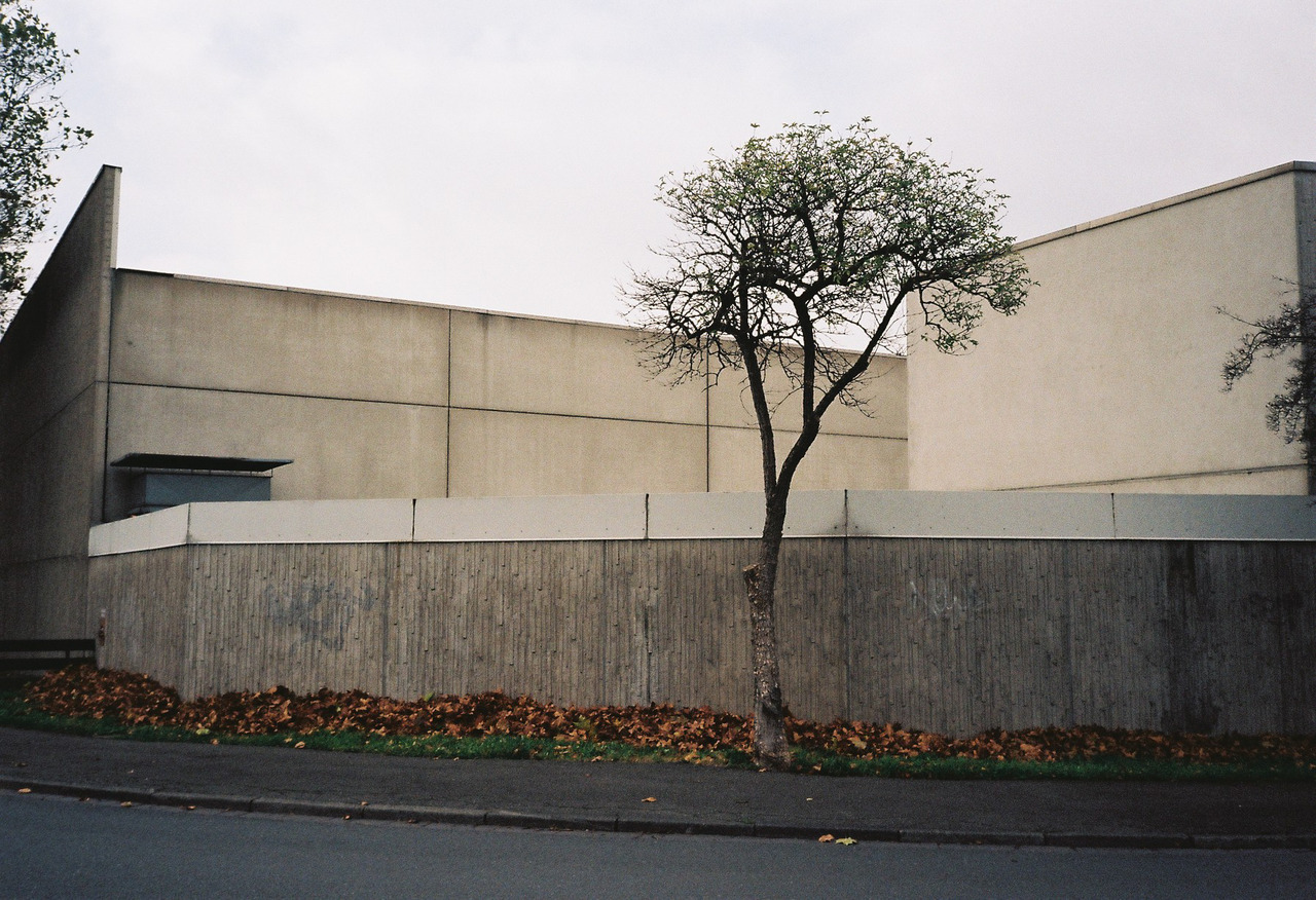 Archillect ID 294255