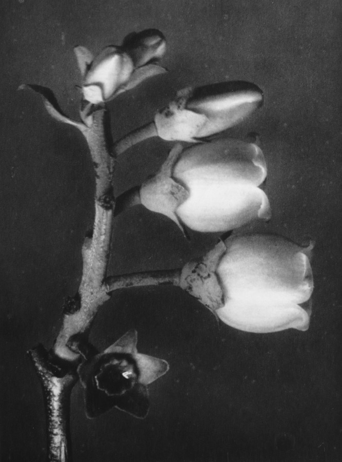 Archillect ID 294551