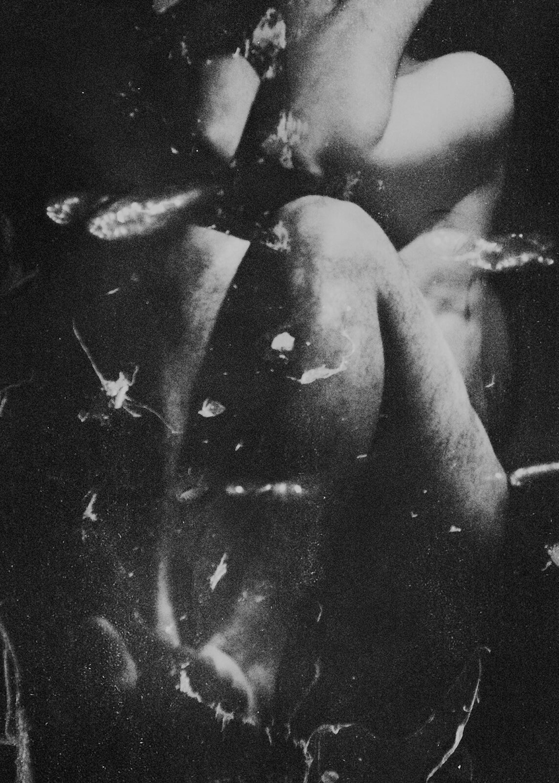 Archillect ID 295089