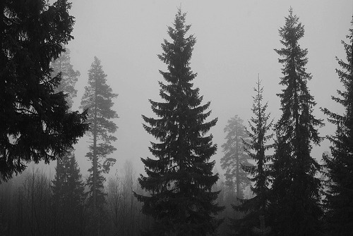 Archillect ID 295161