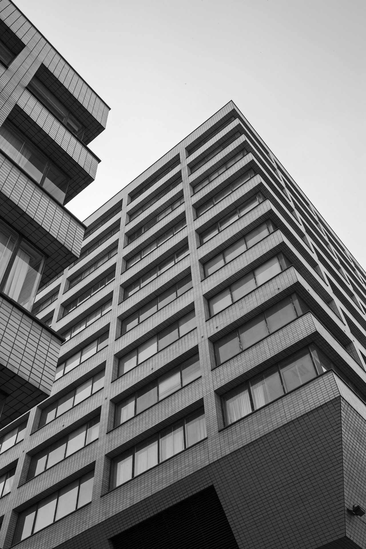 Archillect ID 295421