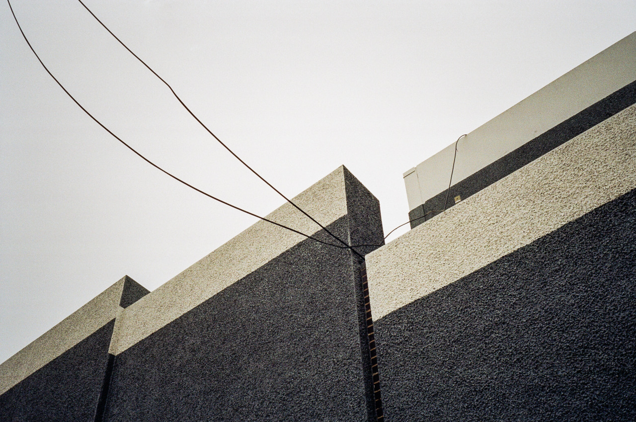 Archillect ID 295455