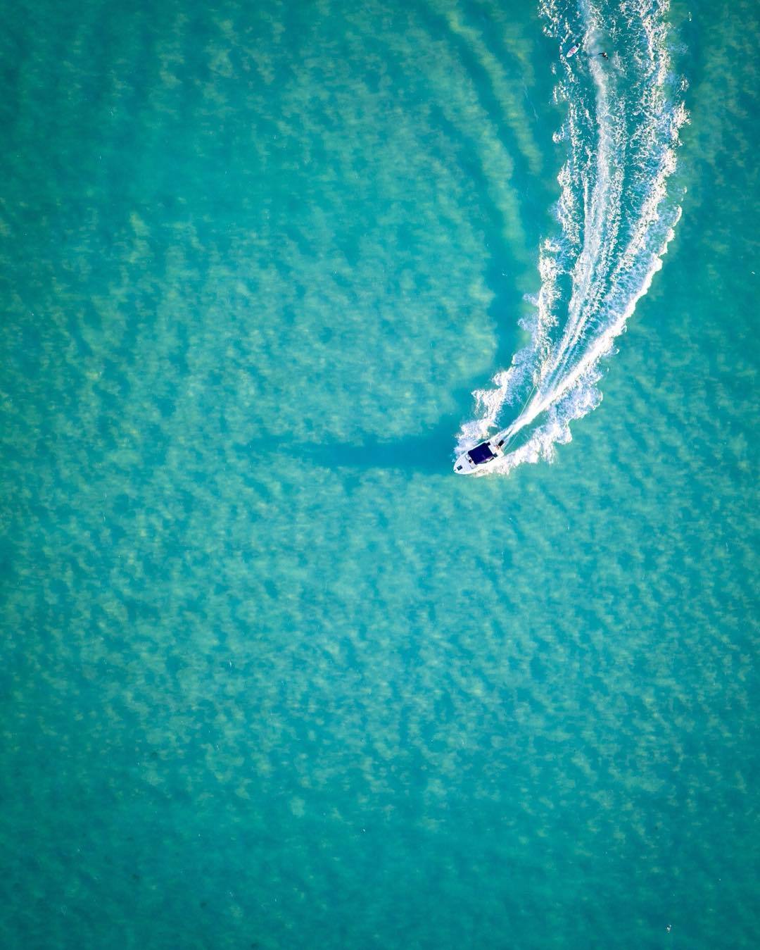 Archillect ID 295970