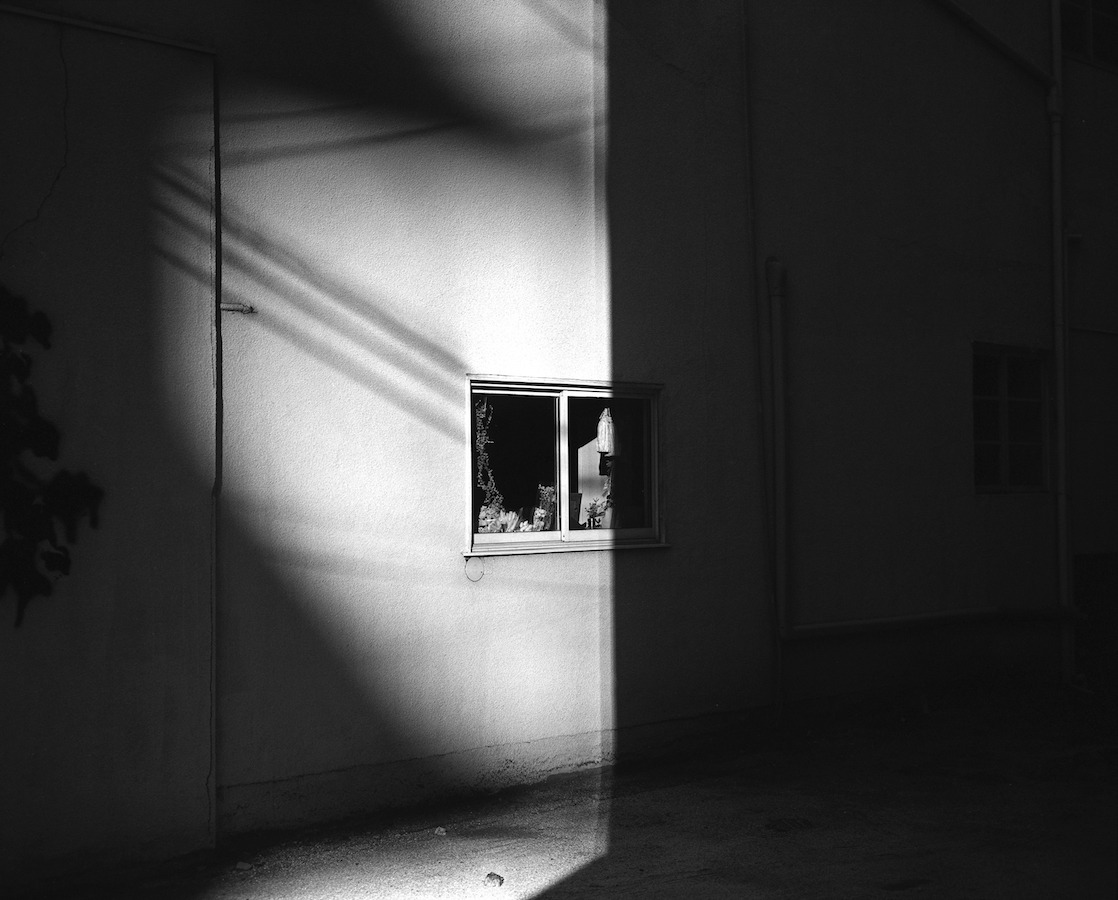 Archillect ID 297451