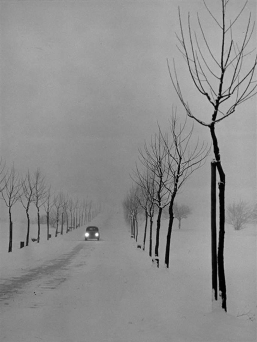 Archillect ID 297612