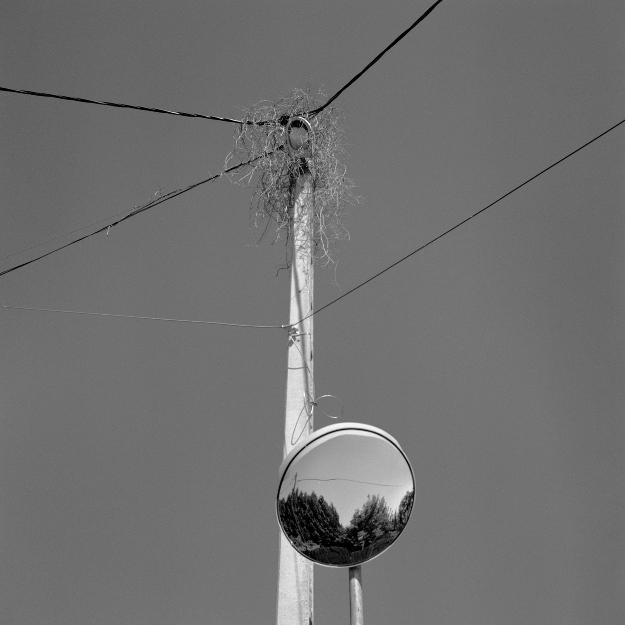 Archillect ID 297669