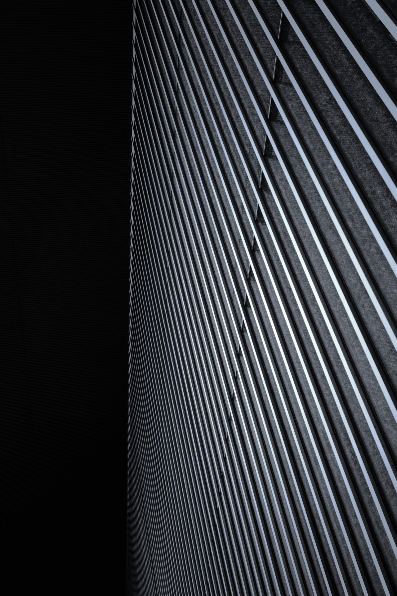 Archillect ID 297871