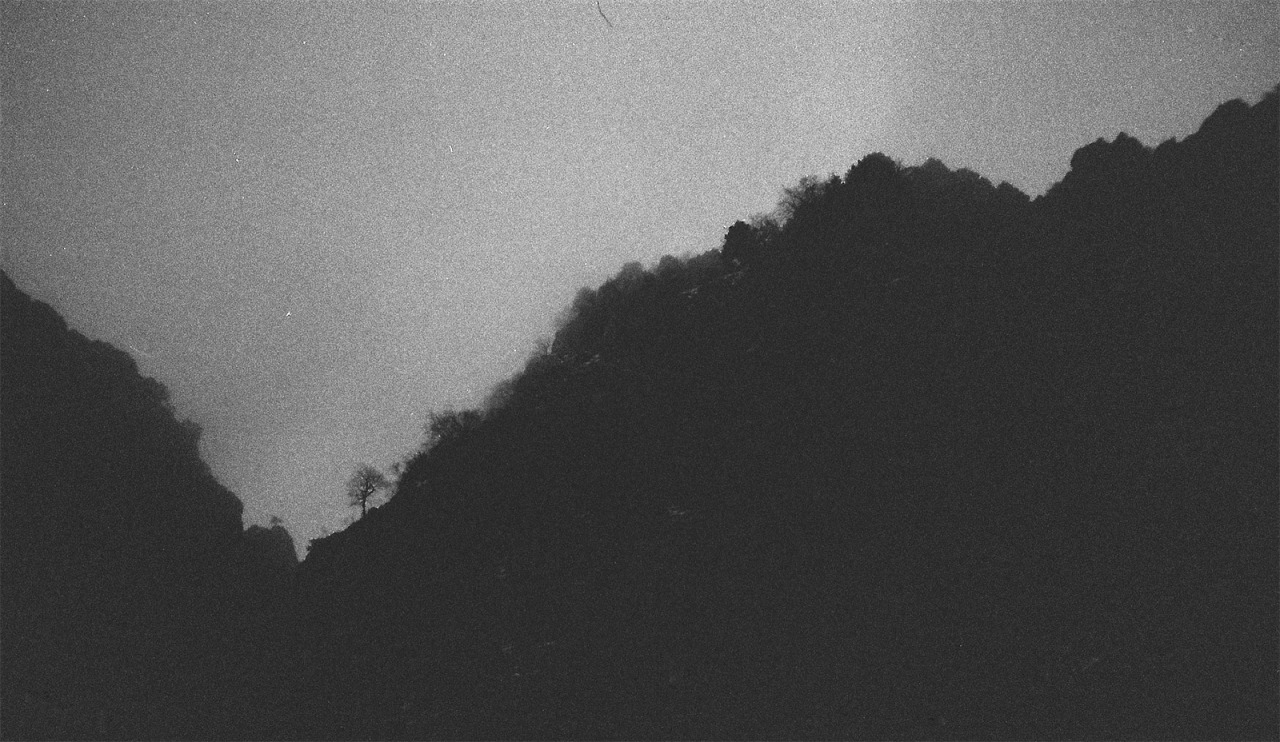 Archillect ID 298772