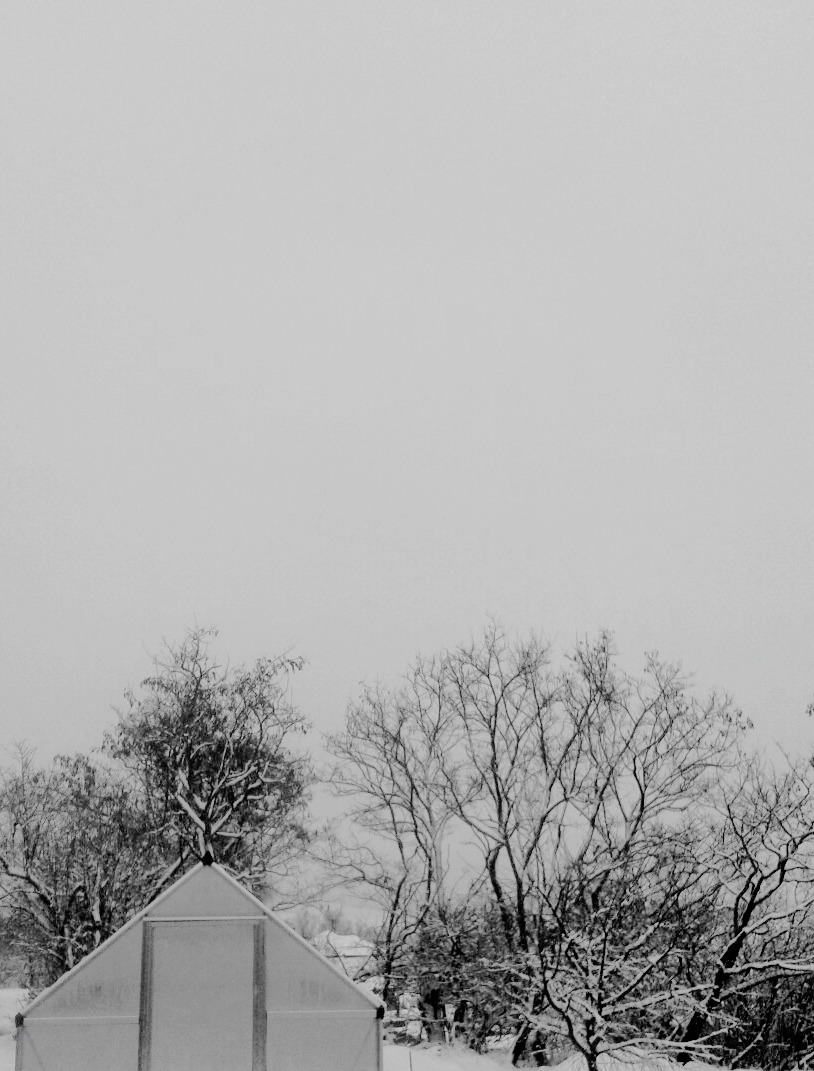 Archillect ID 298933