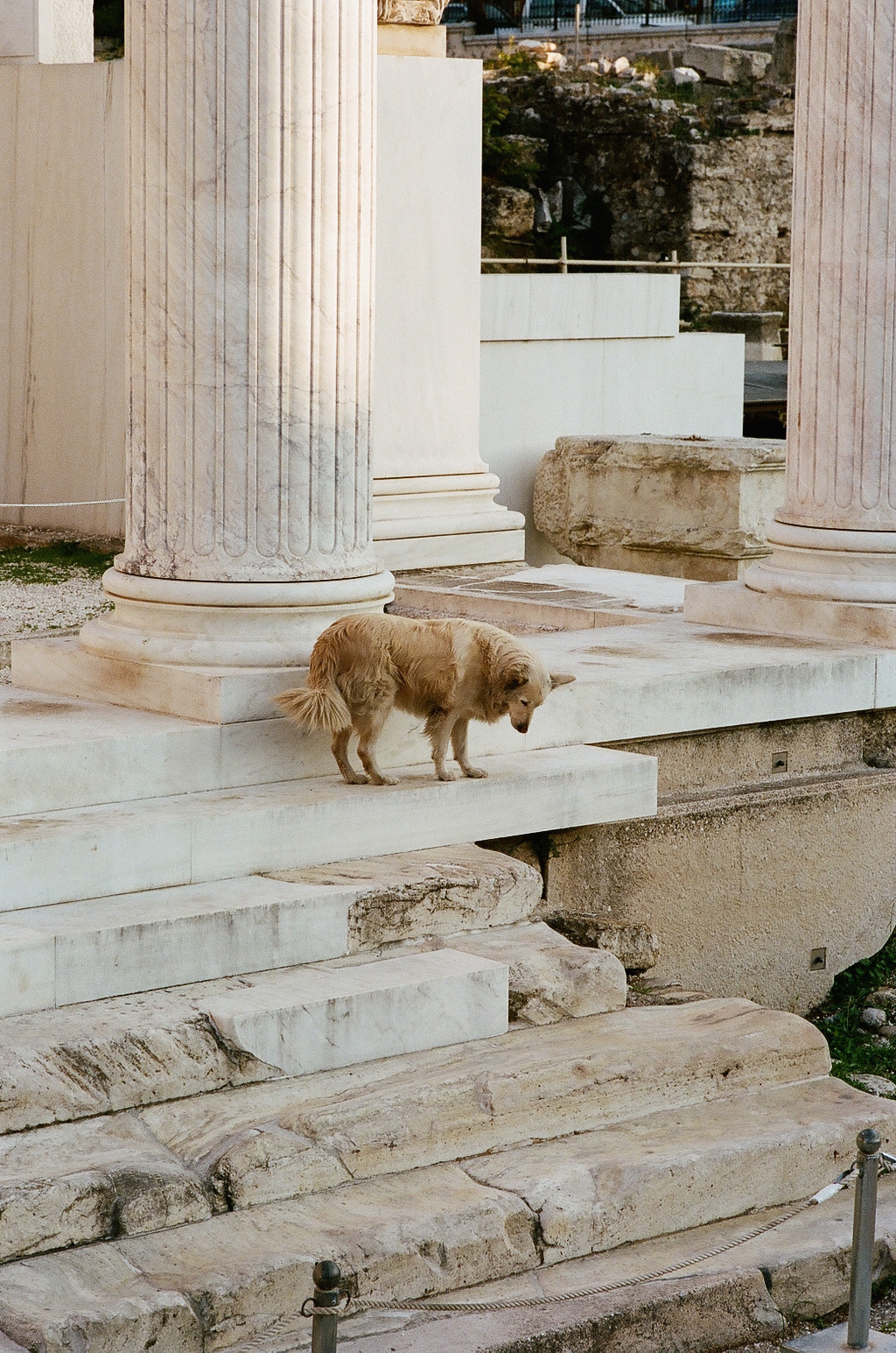 Archillect ID 298967