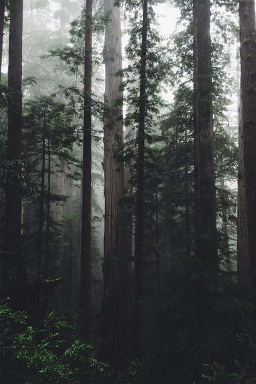 Archillect ID 298968