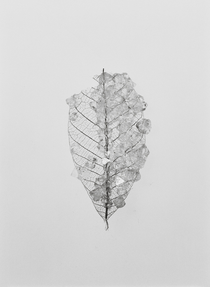 Archillect ID 299178