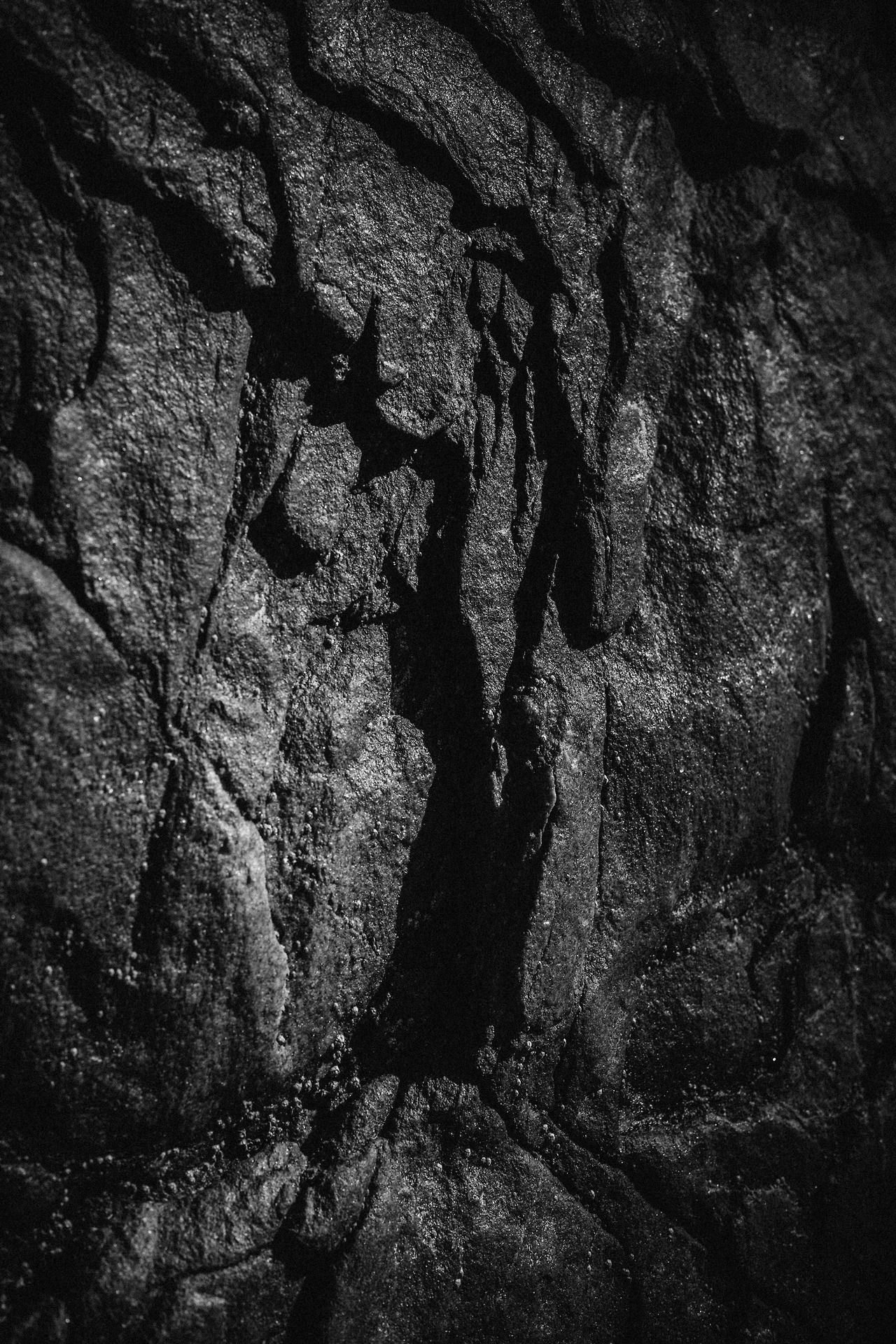 Archillect ID 299286