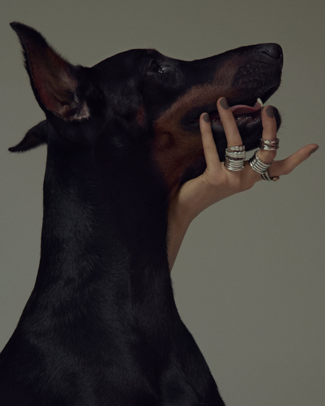Archillect ID 299488