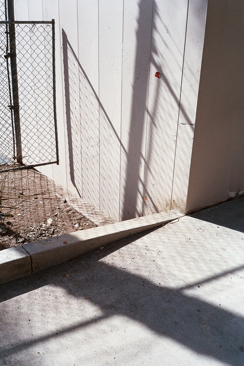 Archillect ID 299842