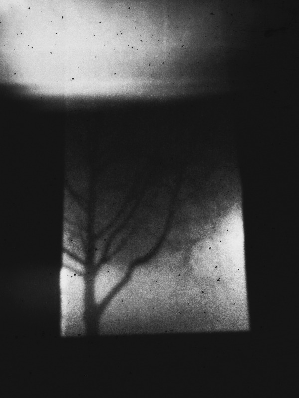 Archillect ID 299968