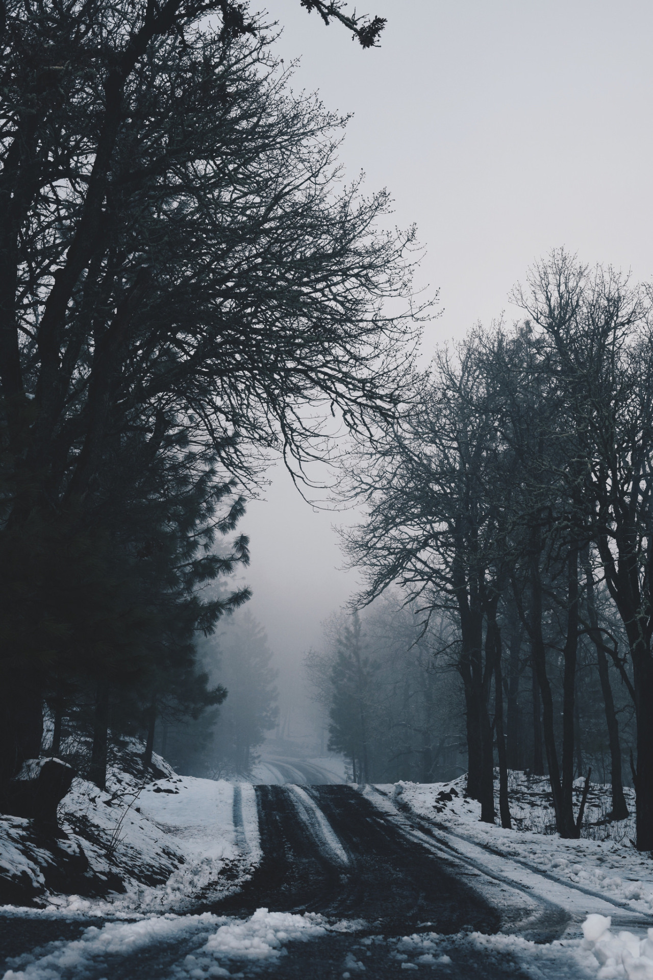 Archillect ID 300149