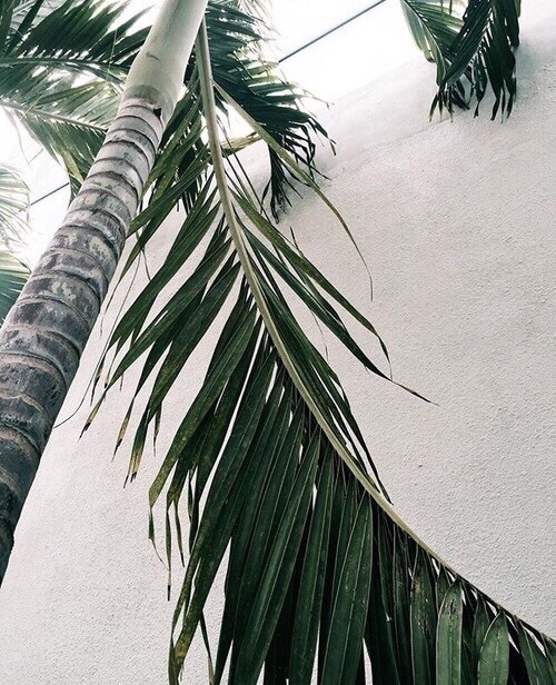 Archillect ID 300326