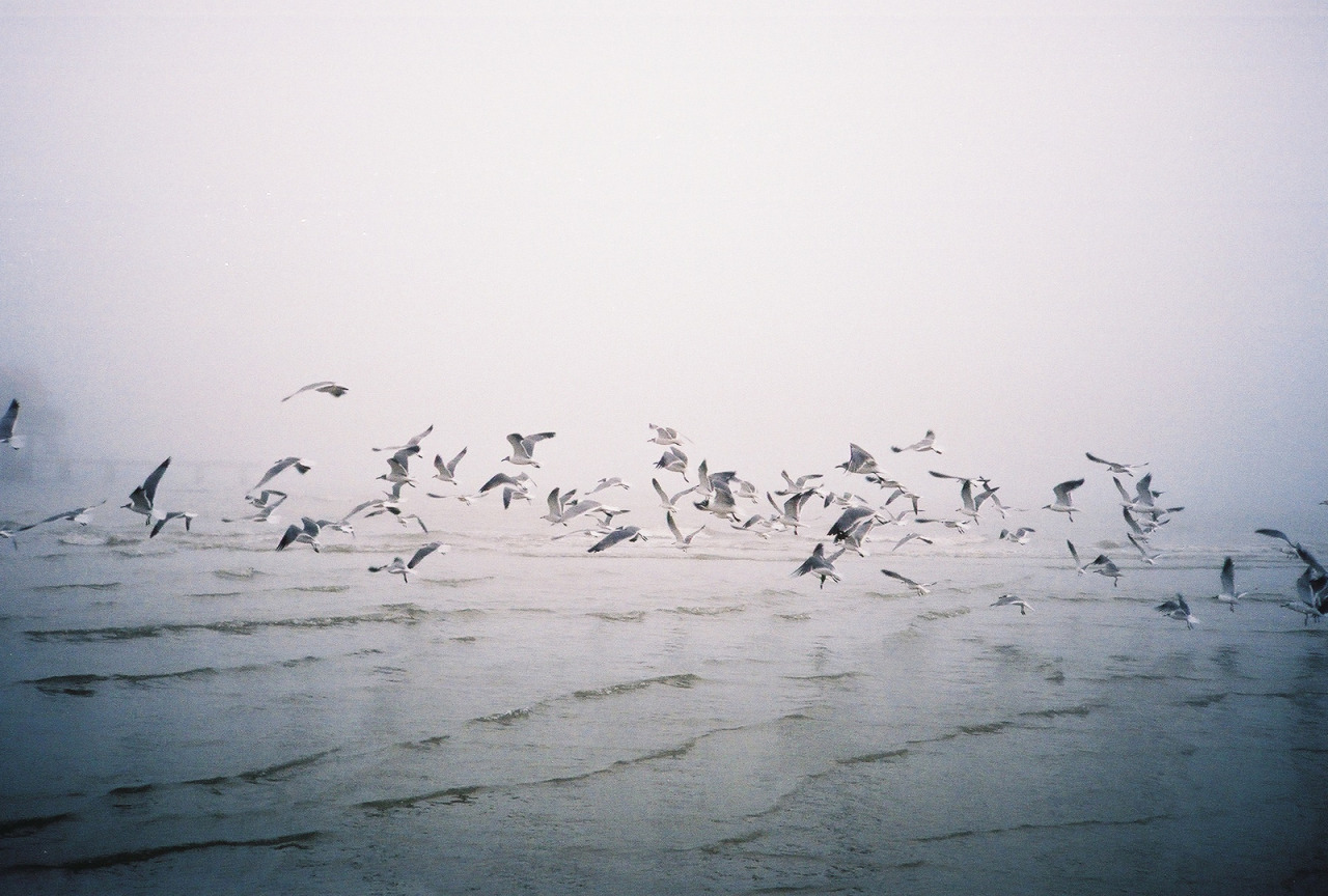 Archillect ID 300612