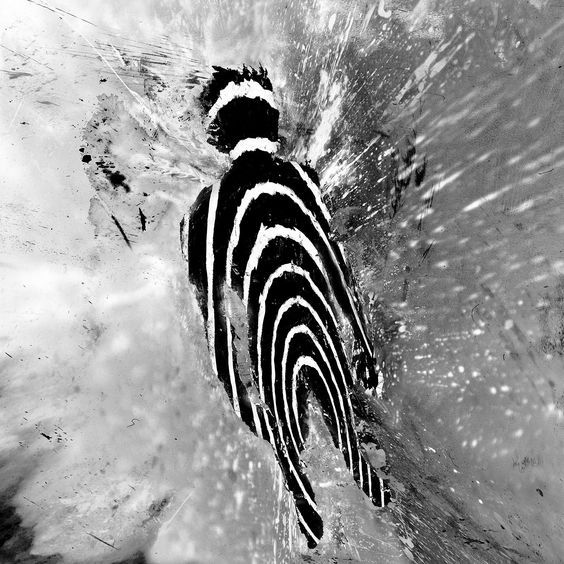 Archillect ID 300630