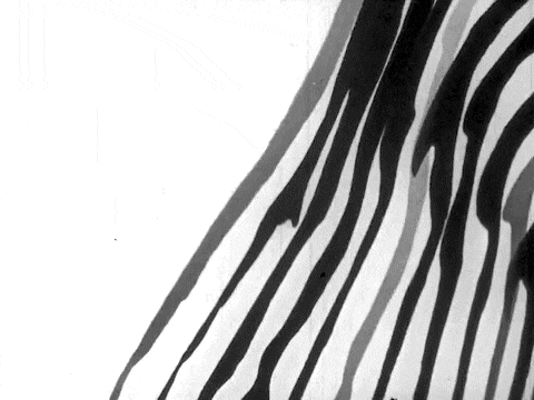 Archillect ID 300831