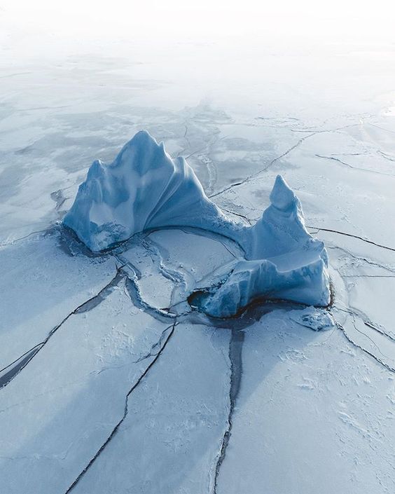 Archillect ID 300956